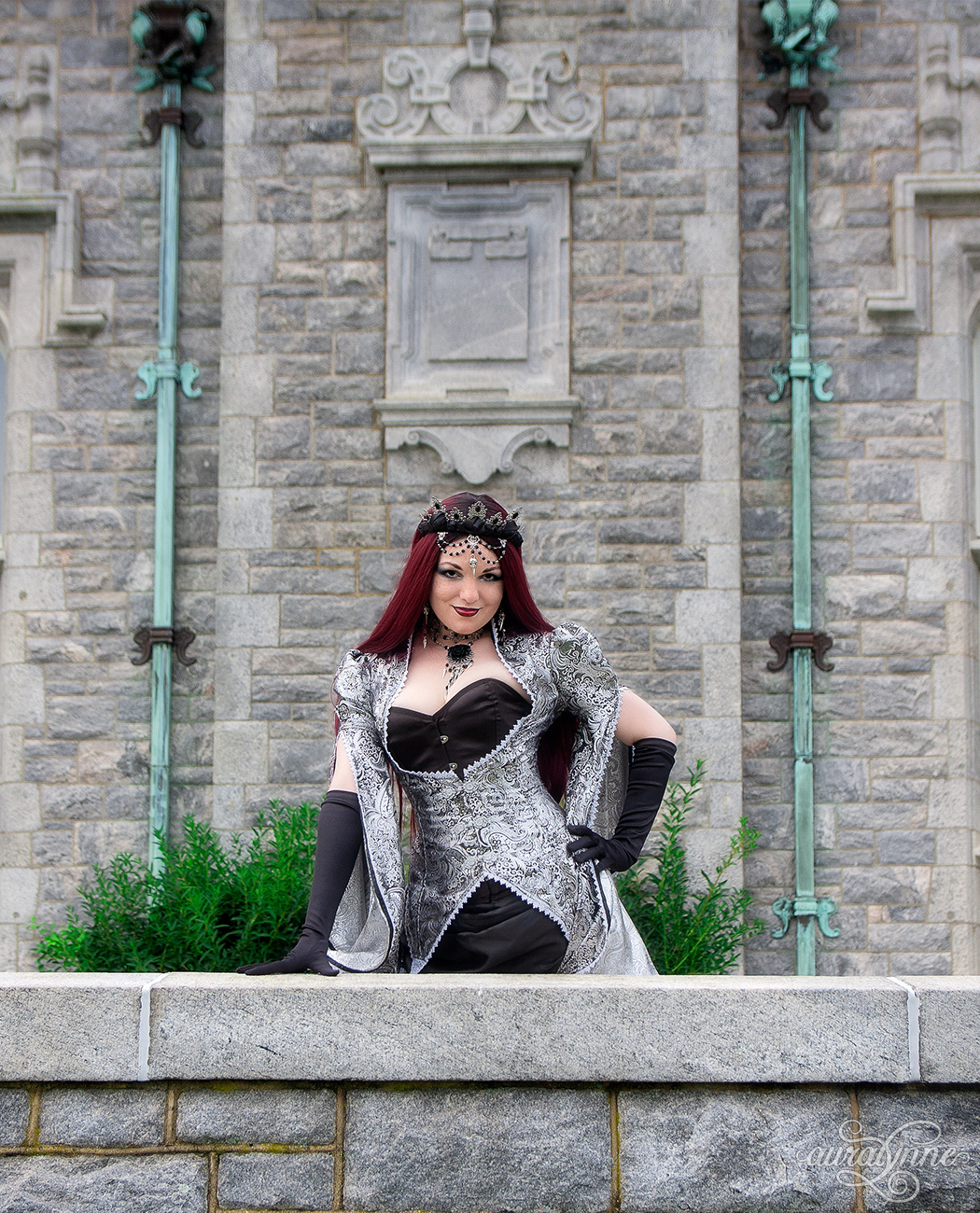 Unseelie Dark Fairy Queen Costume auralynne